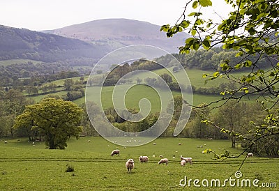 Countryside in Wales Stock Photo