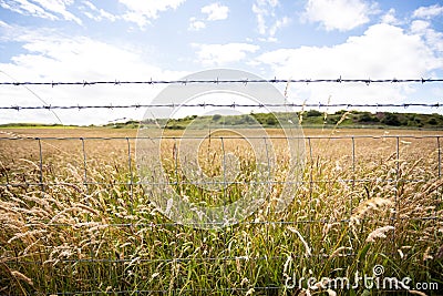 Barbed wire fence in front of a field of long grass in County Durham UK: 26th July 2020: Durham Heritage Coast Stock Photo