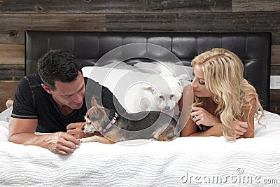 Couple on bed with dogs Stock Photo