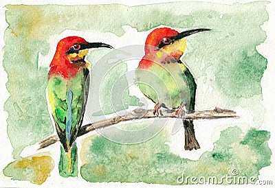 Couple birds bee eaters seating on the branch closeup artwork portrait. China ink and watercolor hand drawn on watercolour paper Stock Photo