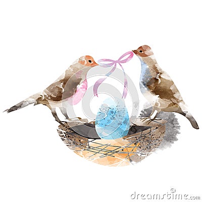 Couple birds in a nest with eggs Stock Photo