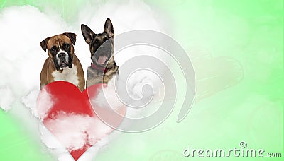 Couple of boxer and german shepherd in heart shape Stock Photo
