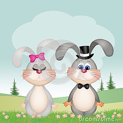 Couple of bunnies Stock Photo