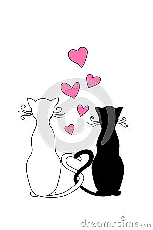 Couple cats isolated on white Vector Illustration