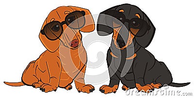 Couple of dachshunds Stock Photo