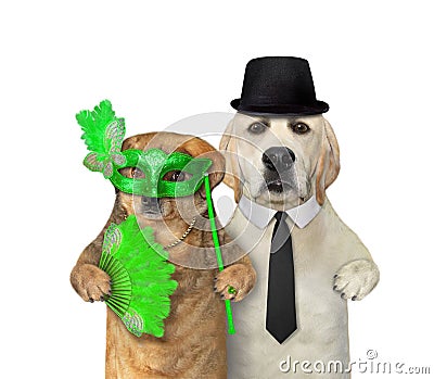 Couple of dogs having fun 4 Stock Photo