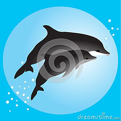 Couple dolphins swimming in the ocean Vector Illustration