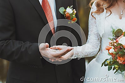 The couple exchange wedding rings Stock Photo