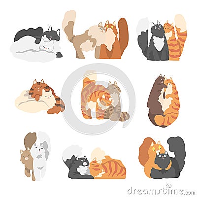 Couple of Fluffy Cats in Love Fawning and Cuddling Vector Set Stock Photo