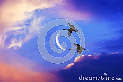 Couple of flying cranes holding a crescent moon Stock Photo