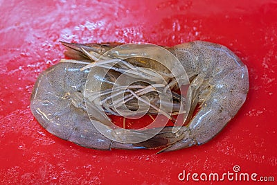 Couple Fresh Shrimp in red plate background for cook Stock Photo