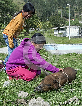 A couple of girls with a piglet outside the Otavalo animal market in Otavalo in Ecuador. Editorial Stock Photo