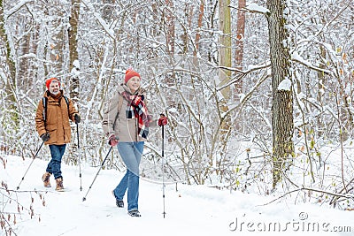 A couple having a walk in a winter forest and looking contented Stock Photo