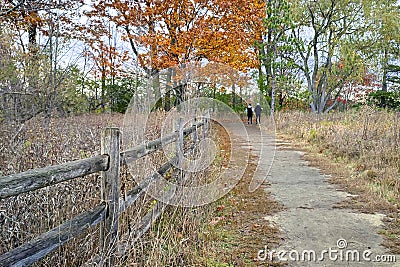 Couple hiking in the forest footpath in autumn Stock Photo