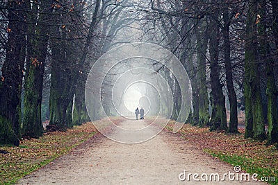 Couple holding hands walking in beautiful romantic autumn alley, cloudy foggy day, partner issues psychology relationship concept Stock Photo