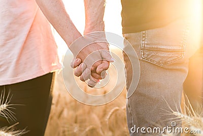 Couple holding hands in a wheat field at sunset, sunlight effect Stock Photo