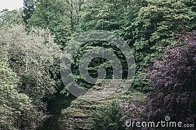 Couple kissing in a distance inside a park in Luxembourg City Editorial Stock Photo