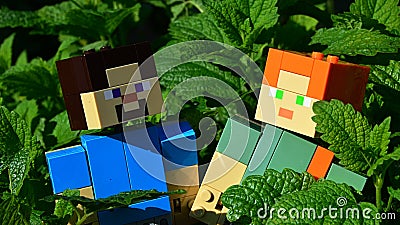 Couple of LEGO Minecraft large figures of Steve and Alex in dense green foliage of Lemon Balm and Spearmint plants. Editorial Stock Photo