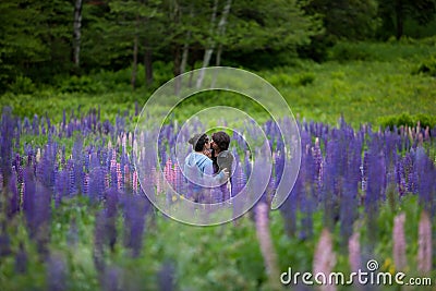 Couple in Love Embracing in Lupine Flowers Stock Photo