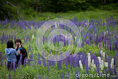 Couple in Love Embracing in Lupine Flowers Stock Photo