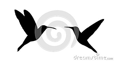 Couple in love hummingbird vector silhouette illustration isolated on white background. Vector Illustration