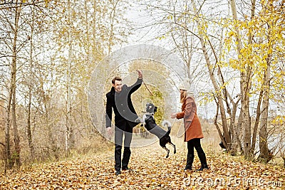 Couple in love on a warm autumn day walks in the Park with a cheerful dog Spaniel. Love and tenderness between a man and a woman Stock Photo