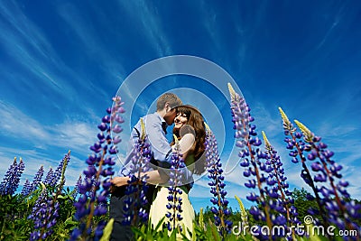 Couple in lupine flowers field Stock Photo