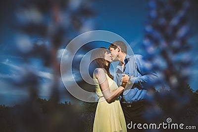 Couple in lupine flowers field Stock Photo