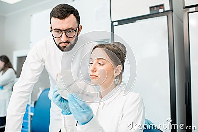 Laboratory assistants in the bacteriological department Stock Photo