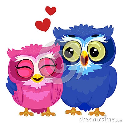 Couple Owl Vector Illustration