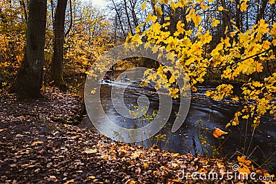 Couple paddling in kayak on forest river. Autumn forest lake surrounded by golden limbs and leaves in the autumn day Editorial Stock Photo