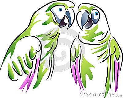 Couple parrots Vector Illustration
