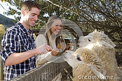 Couple at Petting Zoo Stock Photo