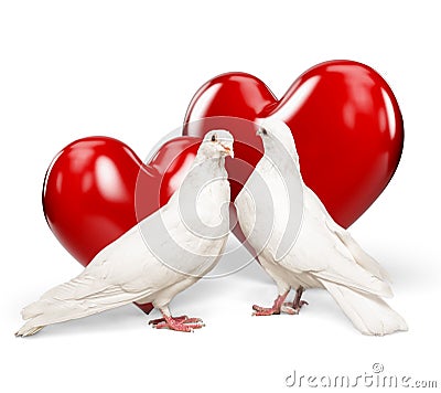 Couple pigeons and red hearts Stock Photo