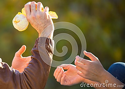 Couple plays with partly peeled orange fruit. Male hands in brown leather jacket hold citrus and woman ready to catch it Stock Photo