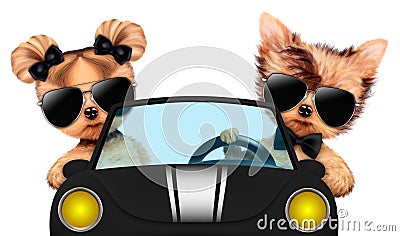 Couple of puppies sitting in a cabriolet Cartoon Illustration
