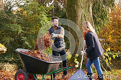 Couple Raking Autumn Leaves And Putting Into Wheelbarrow In Garden Stock Photo
