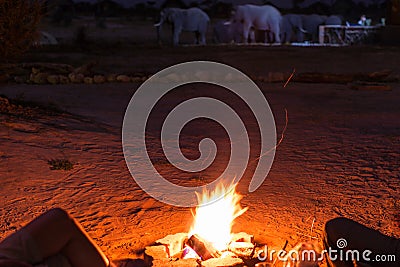 Couple sitting at burning camp fire in the night. Camping in the desert with wild elephants in background. Summer adventures and e Stock Photo