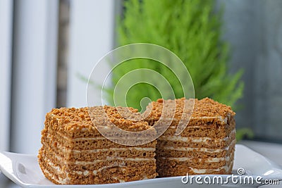 a couple of slices of delicious honey cake Stock Photo