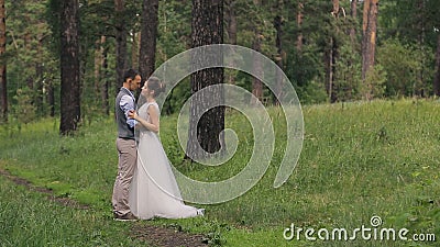 Couple standing arm in arm at wedding photo shoot in woods outdoors stock video footage Couple standing arm in arm at wedding photo shoot in woods outdoors stock video footage