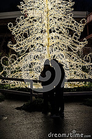 Couple standing in front of a light decorated christmas tree.. Editorial Stock Photo