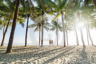 Couple standing on sandy beach among palm trees on sunny morning Stock Photo