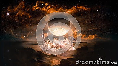 Couple of swans dancing in the landscape in fantasy alien planet Stock Photo