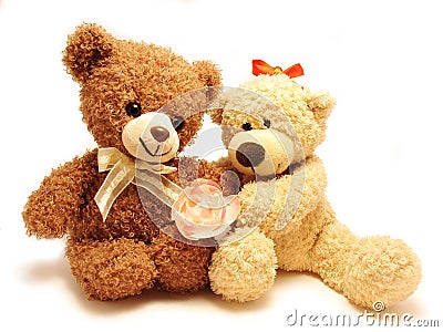 Couple of teddy-bears & rose Stock Photo