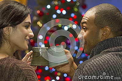 Couple toast each other during holidays, horizontal Stock Photo