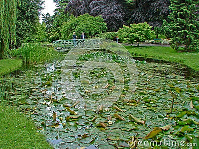Couple Viewing a Lily Pond Editorial Stock Photo