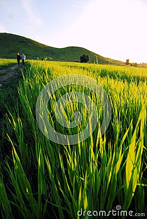 Couple Walking Down a Country Road Stock Photo