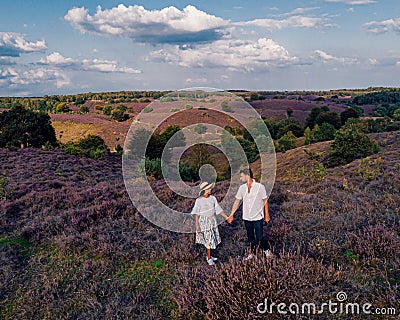 Couple walking in the meadows, Posbank national park Veluwezoom, blooming Heather fields during Sunrise at the Veluwe in Stock Photo