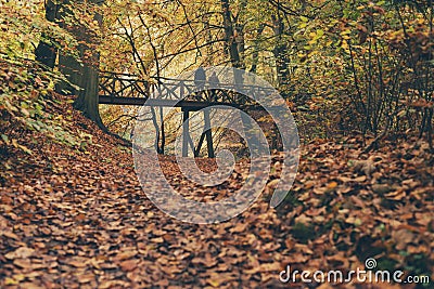 Couple walking over wooden bridge in autumn forest. Editorial Stock Photo