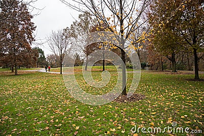 Couple Walking in a Park in Autumn Stock Photo